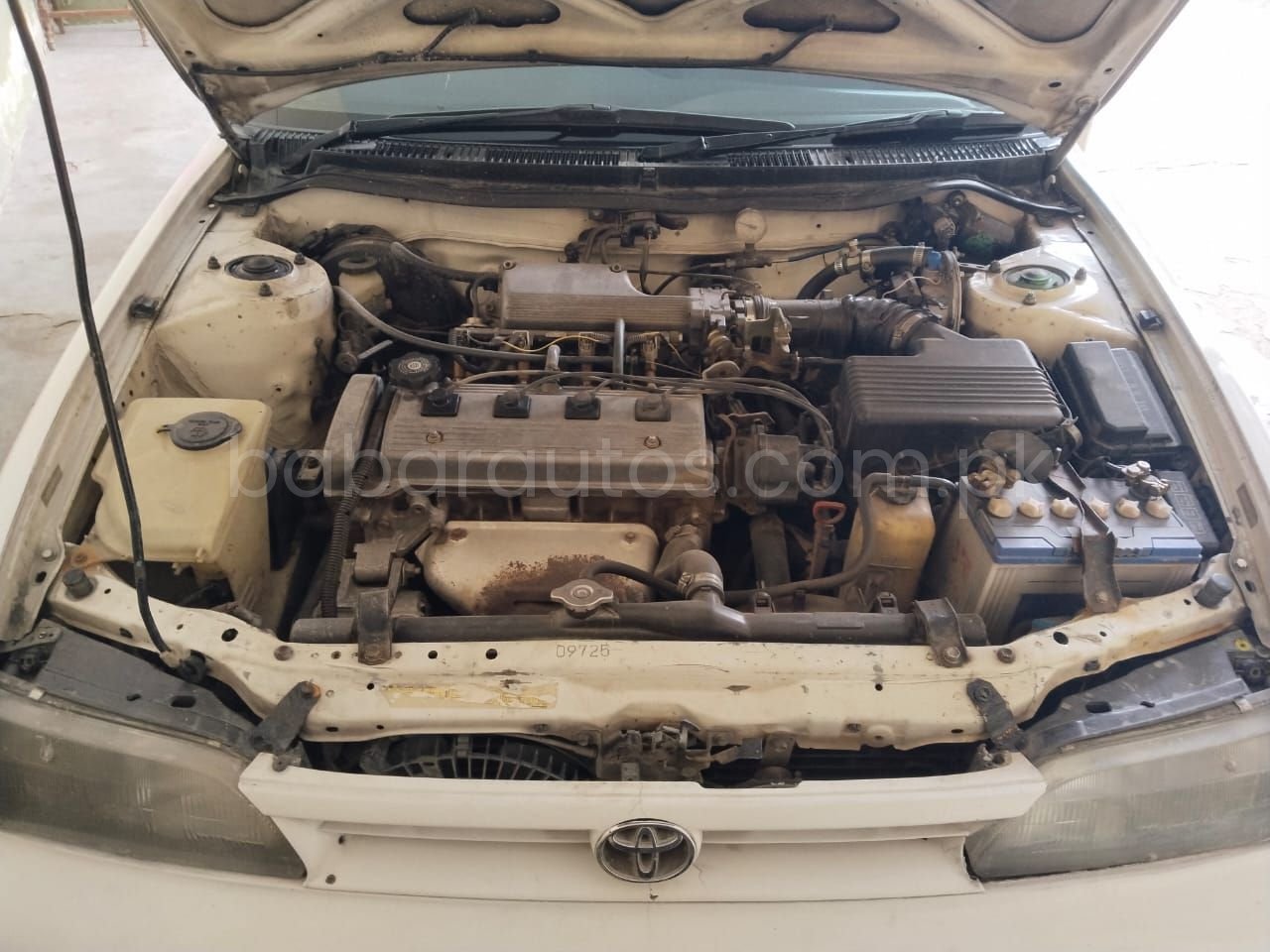 Car Thumbnail