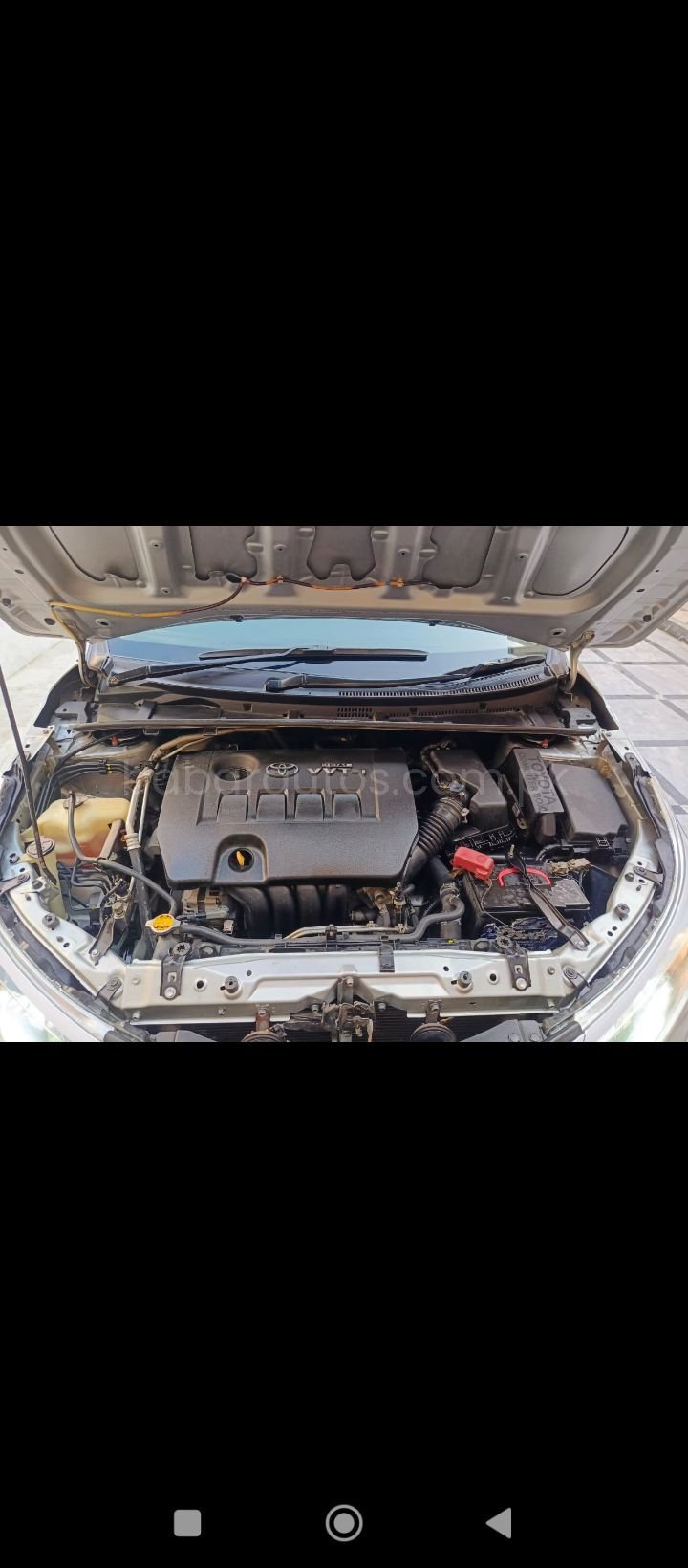 Car Thumbnail