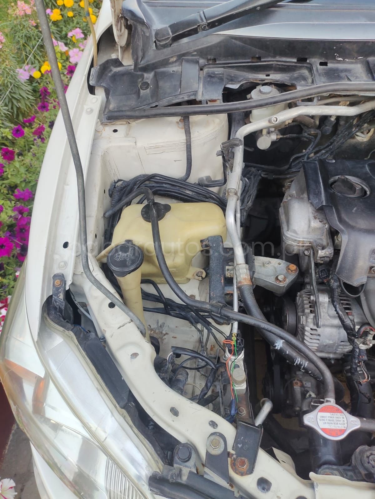 Car Thumbnail