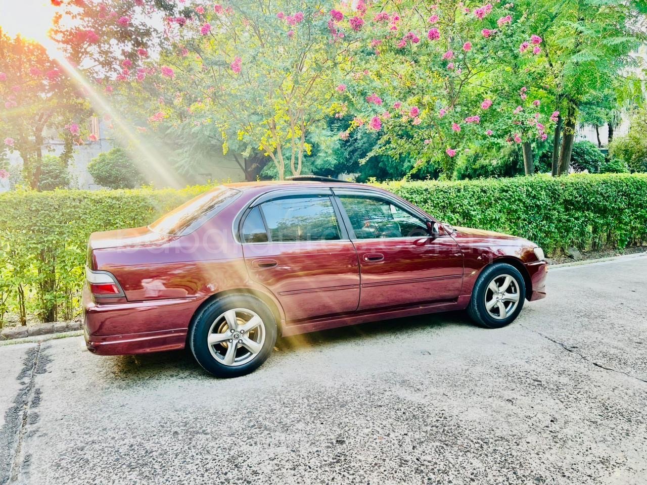 Car Thumbnail