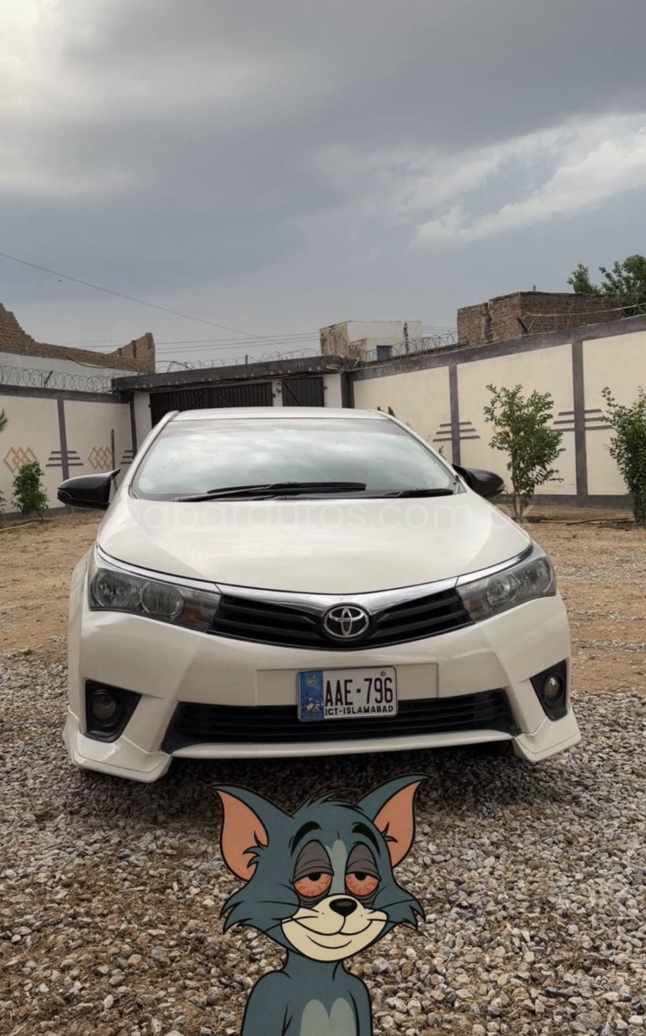 Car Thumbnail